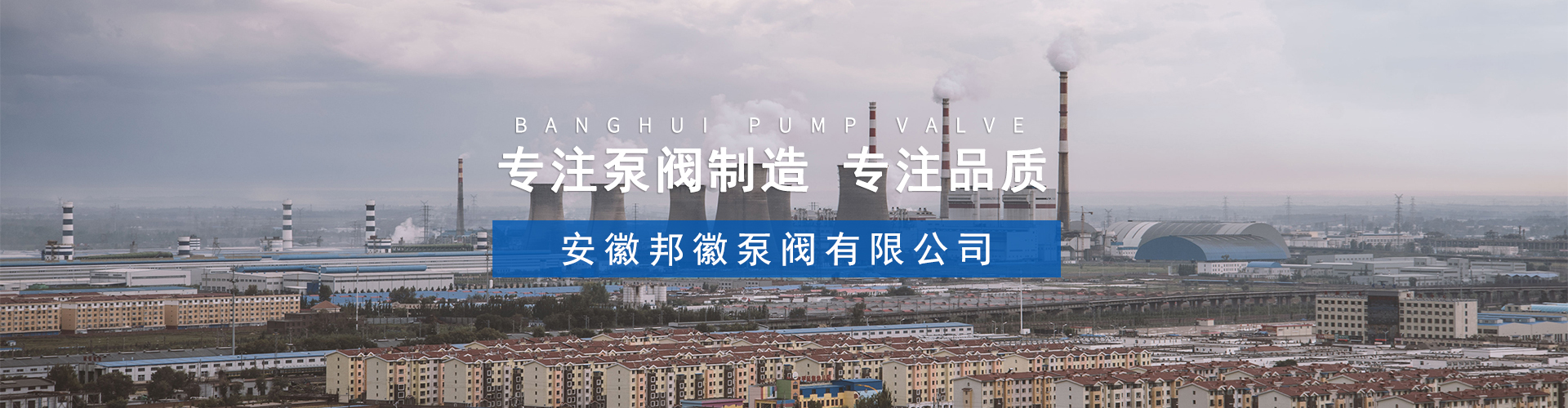 安徽邦徽泵阀有限公司